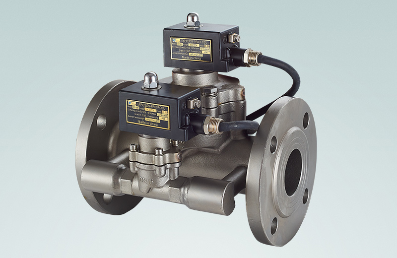 SV-50/80�����˫����ŷ�